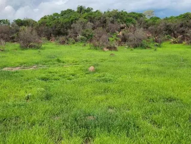 Terreno / Lote para Venda em Indaiatuba/SP Vila Verde