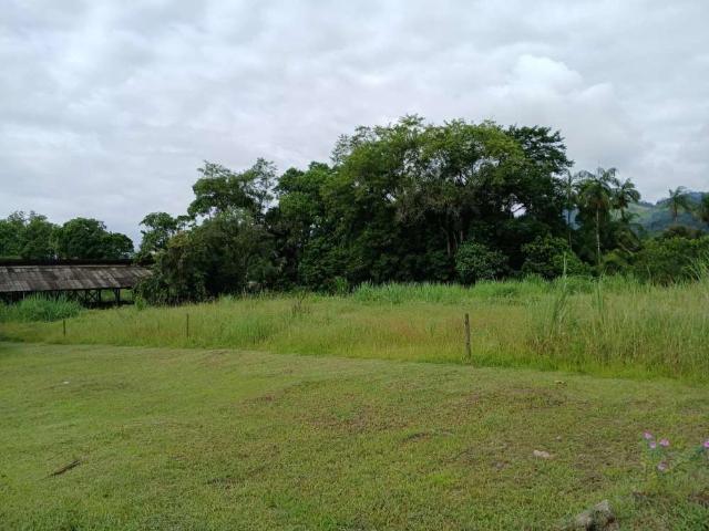 Terreno / Lote para Venda em Indaial/SC Arapongas