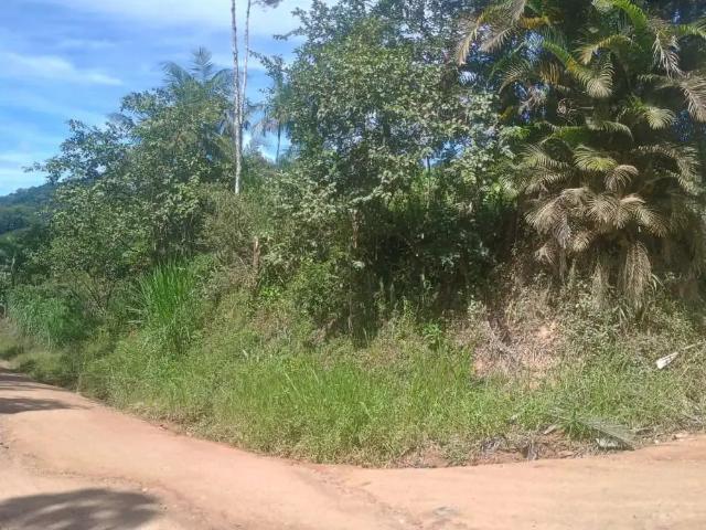 Terreno / Lote para Venda em Indaial/SC Encano
