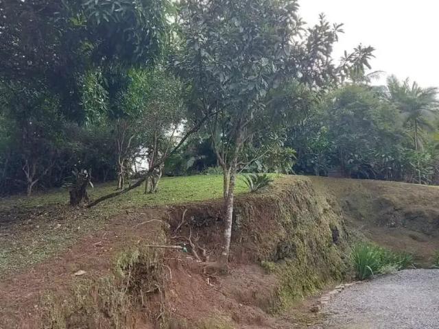 Terreno / Lote para Venda em Indaial/SC Encano