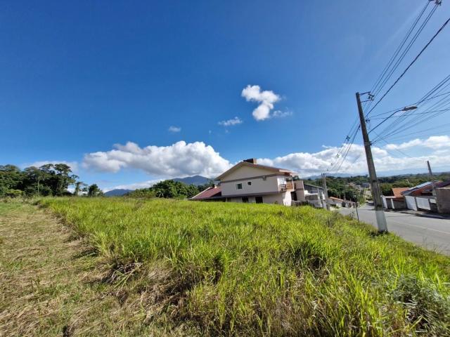 Terreno / Lote para Venda em Indaial/SC Estrada das Areias