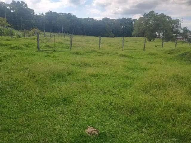 Terreno / Lote para Venda em Indaial/SC Ribeirão das Pedras