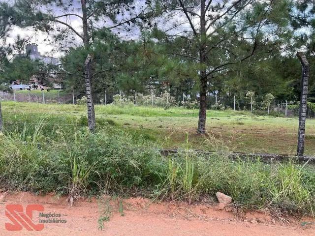 Terreno / Lote para Venda em Indaial/SC Tapajós