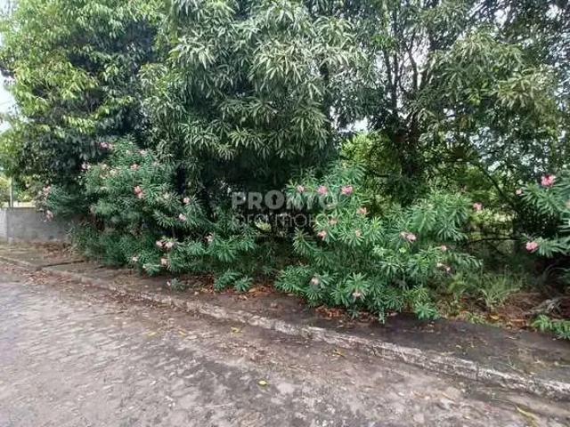 Terreno / Lote para Venda em Ipojuca/PE Centro