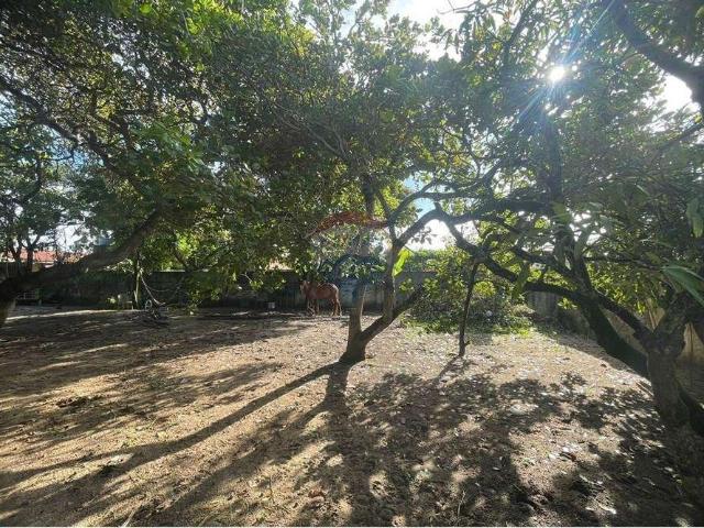 Terreno / Lote para Venda em Ipojuca/PE Serrambi 1 Quartos