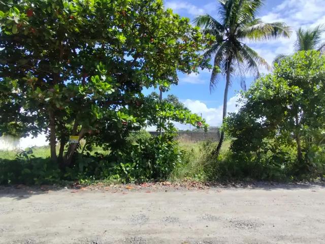 Terreno / Lote para Venda em Ipojuca/PE Porto de Galinhas