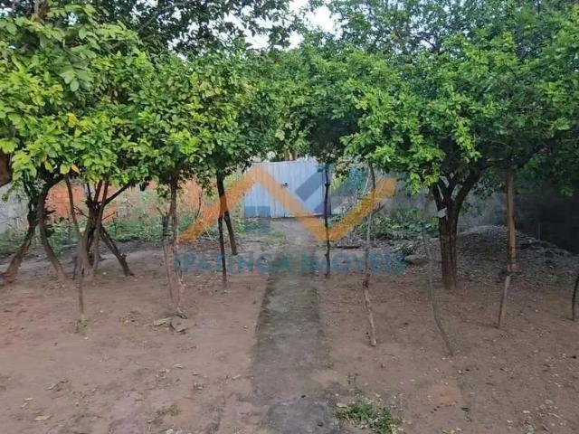 Terreno / Lote para Venda em Ipatinga/MG Bethânia