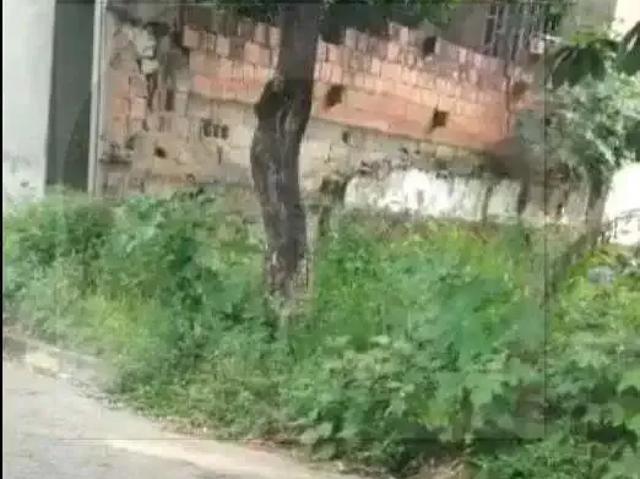 Terreno / Lote para Venda em Ipatinga/MG Canaã