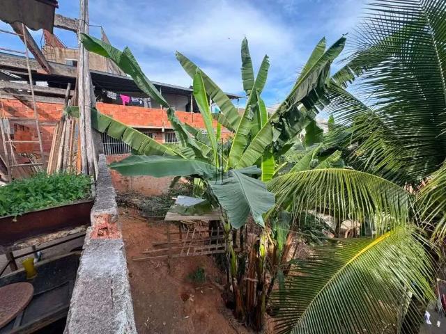 Terreno / Lote para Venda em Ipatinga/MG Jardim Panorama