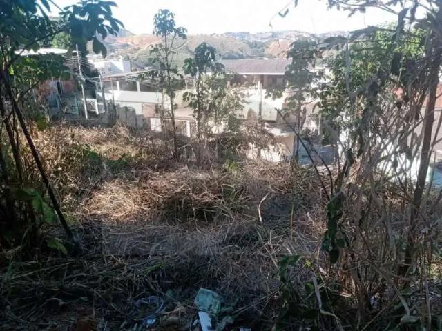 Terreno / Lote para Venda em Ipatinga/MG Vila Formosa