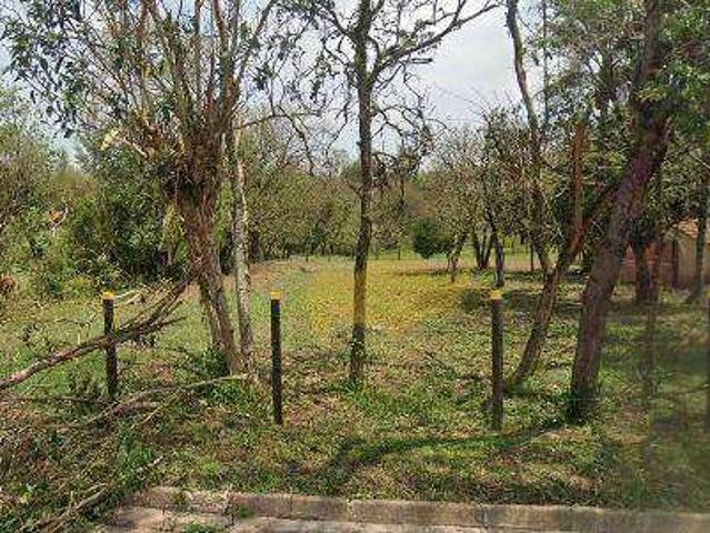 Terreno / Lote para Venda em Ipeúna/SP Centro