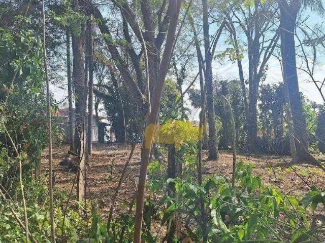 Terreno / Lote para Venda em Ipeúna/SP Centro