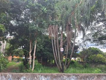 Terreno / Lote para Venda em Iperó/SP Centro