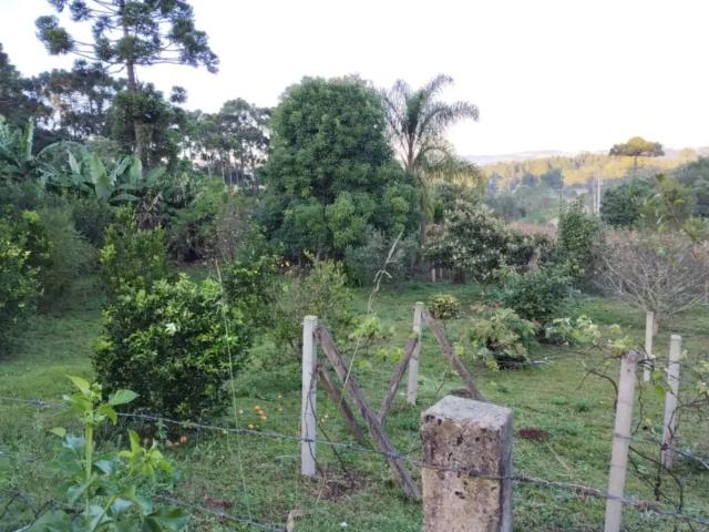 Terreno / Lote para Venda em Ipiranga/PR Avencal