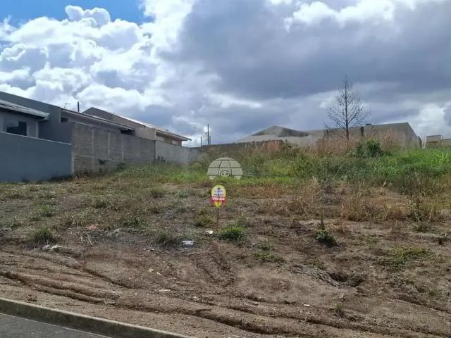 Terreno / Lote para Venda em Irati/PR Alto da Lagoa