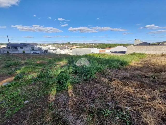 Terreno / Lote para Venda em Irati/PR Alto da Lagoa