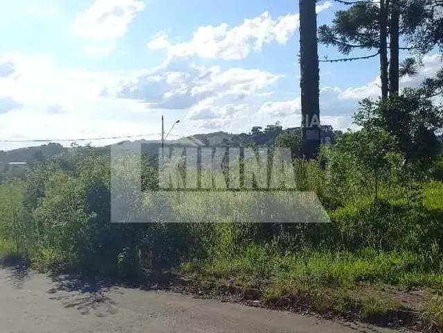 Terreno / Lote para Venda em Irati/PR Engenheiro Gutierrez