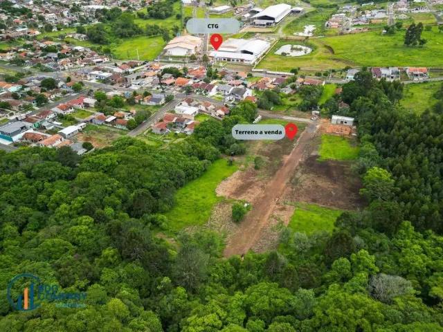 Terreno / Lote para Venda em Irati/PR Rio Bonito