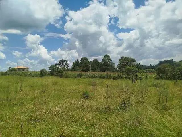 Terreno / Lote para Venda em Irati/PR Riozinho