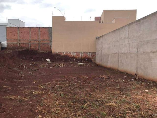 Terreno / Lote para Venda em Iracemápolis/SP Jardim Alvorada