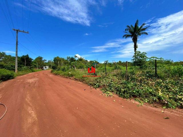 Terreno / Lote para Venda em Iranduba/AM Cacau Pirêra
