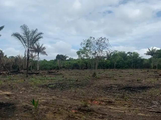 Terreno / Lote para Venda em Iranduba/AM Piracatuba