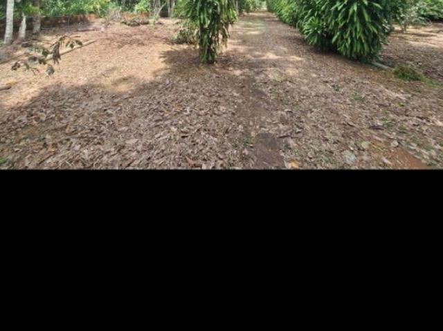 Terreno / Lote para Venda em Iranduba/AM Piracatuba