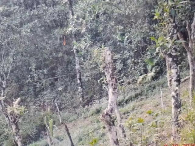 Terreno / Lote para Venda em Itatiaia/RJ Penedo