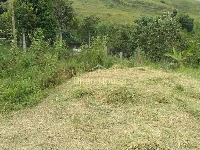 Terreno / Lote para Venda em Itatiaia/RJ Vila Pinheiro