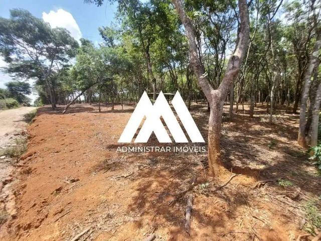Terreno / Lote para Venda em Itatiaiuçu/MG Cachoeira do Chaves