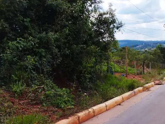 Terreno / Lote para Venda em Itatiaiuçu/MG Centro