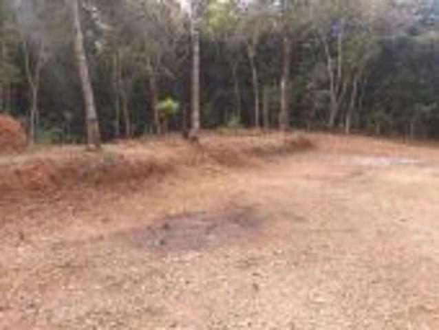 Terreno / Lote para Venda em Itatiaiuçu/MG Santa Terezinha De Minas