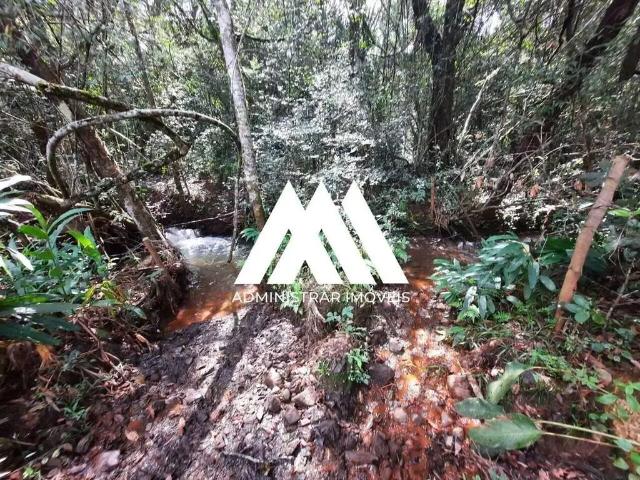 Terreno / Lote para Venda em Itatiaiuçu/MG Parque dos Coqueiros