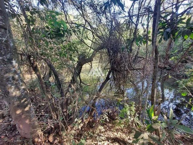 Terreno / Lote para Venda em Itatiaiuçu/MG Pinheiros 3 Quartos