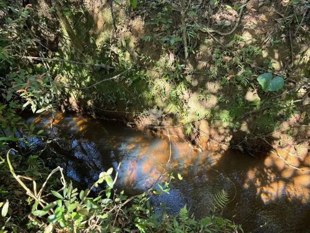 Terreno / Lote para Venda em Itatiaiuçu/MG Rio São João
