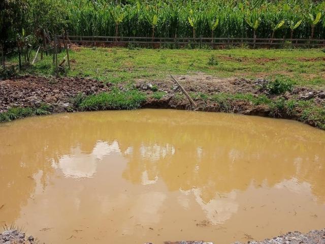 Terreno / Lote para Venda em Itatiaiuçu/MG Zona Rural