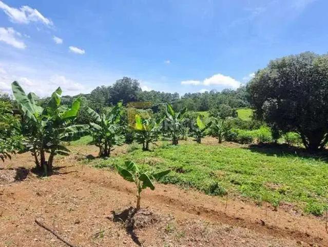 Terreno / Lote para Venda em Itatiba/SP Mombuca