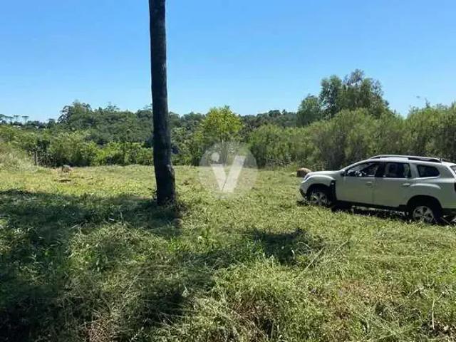 Terreno / Lote para Venda em Itaara/RS Parque Serrano