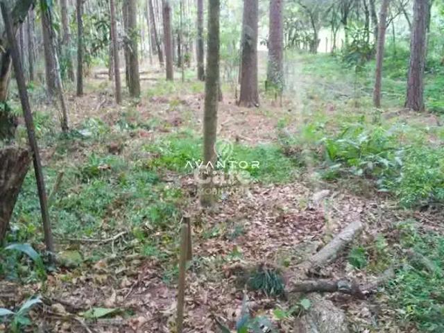 Terreno / Lote para Venda em Itaara/RS Parque Serrano