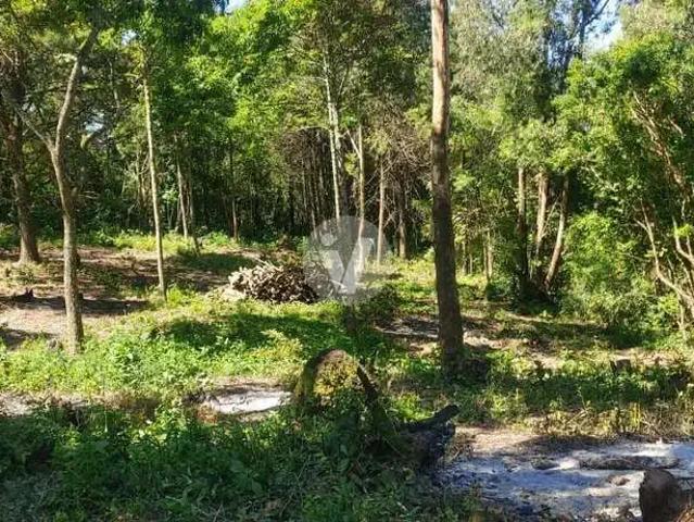 Terreno / Lote para Venda em Itaara/RS Parque Serrano