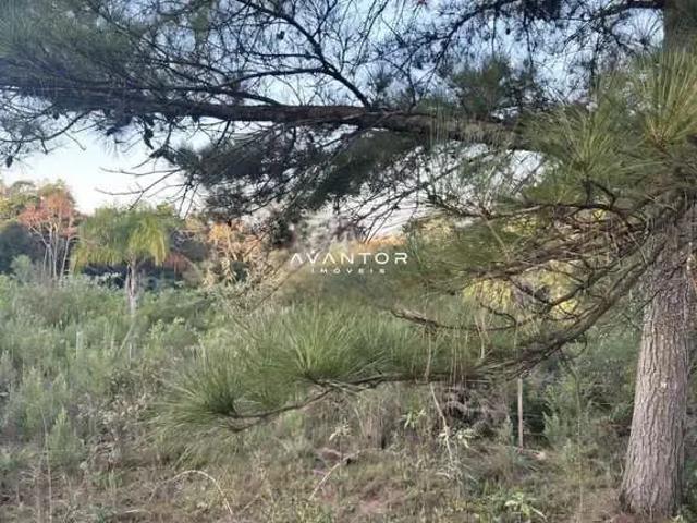 Terreno / Lote para Venda em Itaara/RS Parque Serrano