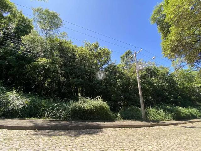 Terreno / Lote para Venda em Itaara/RS Parque Serrano