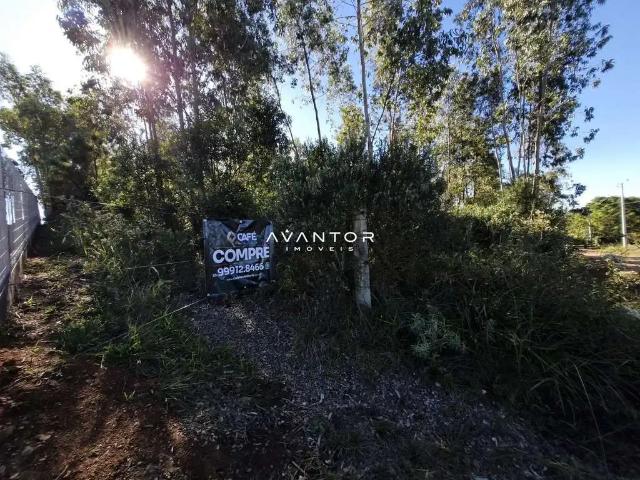 Terreno / Lote para Venda em Itaara/RS Parque Serrano