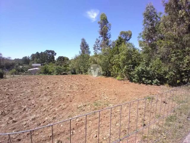 Terreno / Lote para Venda em Itaara/RS Parque Serrano
