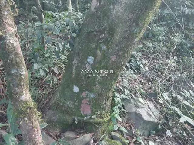 Terreno / Lote para Venda em Itaara/RS Parque Serrano
