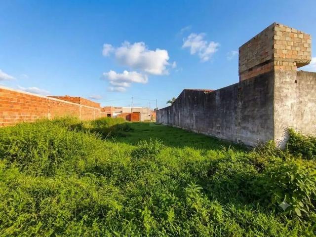 Terreno / Lote para Venda em Itabaiana/SE Miguel Teles de Mendonça
