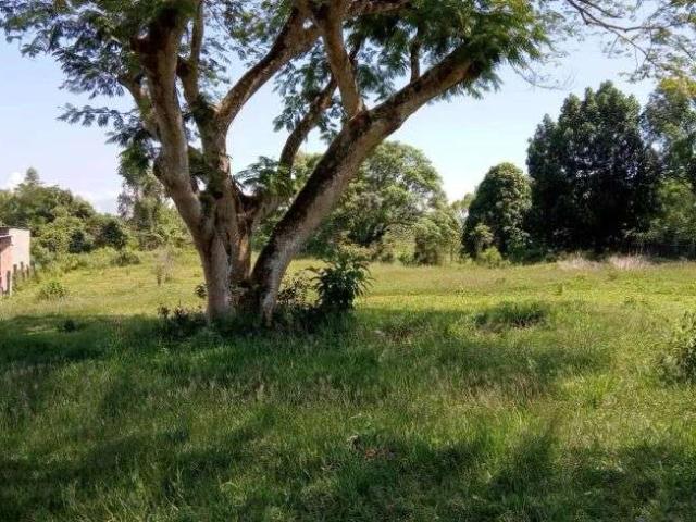 Terreno / Lote para Venda em Itaboraí/RJ Agro Brasil Sambaetiba