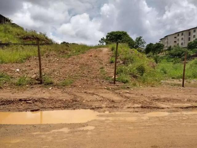 Terreno / Lote para Venda em Itabuna/BA Monte Líbano