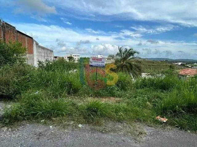 Terreno / Lote para Venda em Itabuna/BA Parque Verde