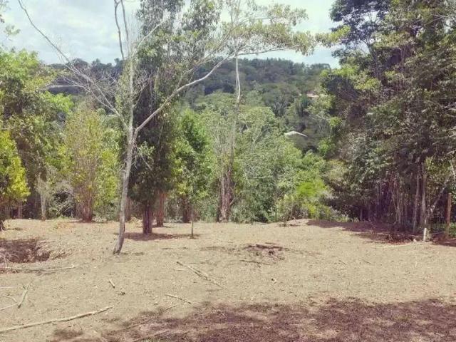 Terreno / Lote para Venda em Itacaré/BA Praia de Jeribucaçu
